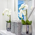 Whome Chic Escape: Your Stylish Haven In Downtown
